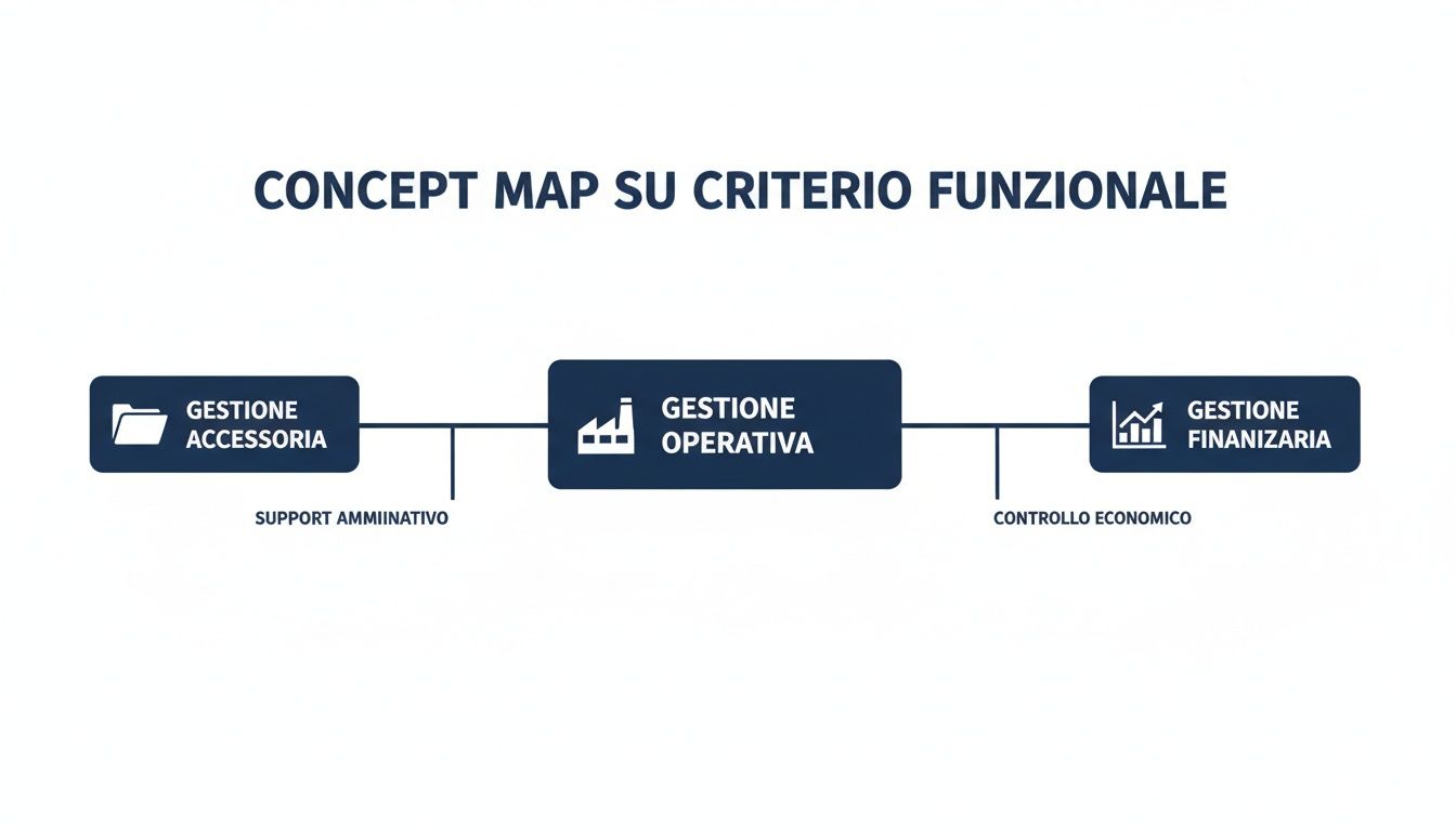 Mappa concettuale della gestione aziendale per criterio funzionale: accessoria, operativa e finanziaria con supporti.